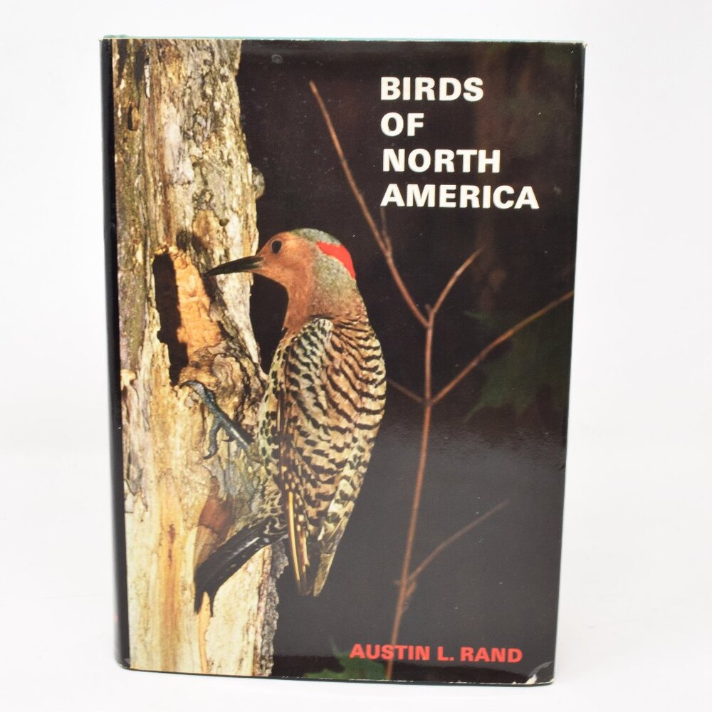 Birds of North America Austin Rand Hardcover Illustrated Reference VTG 1971 Guid